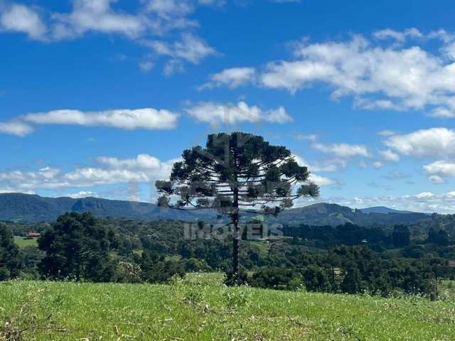 Chácara de 2 hectares