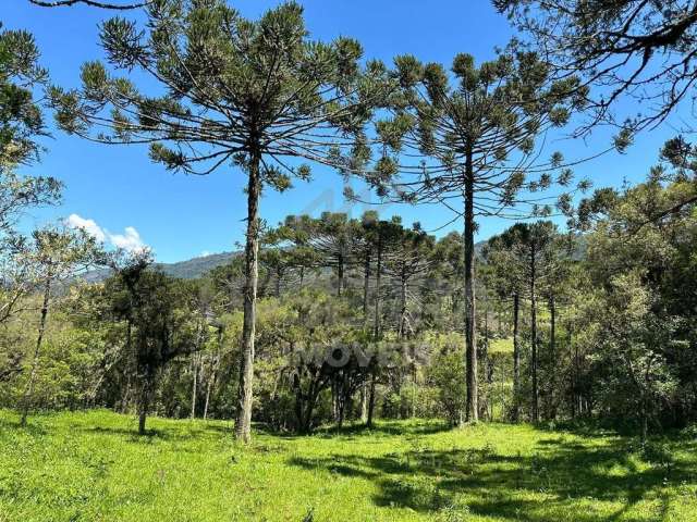 Chácara de 2 hectares de Alto Padrão