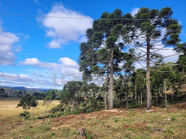 Chácara de 2 hectares na rota das cachoeiras