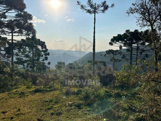 Sítio à venda no bairro Santa Tereza - Urubici/SC