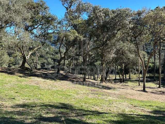 Área à venda em Urubici/SC