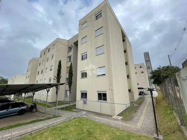 Apartamento em Desvio Rizzo