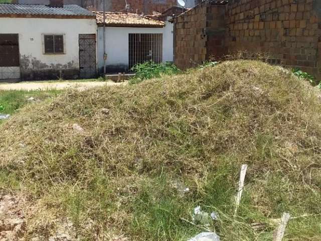 Vendo terreno no bairro Joãozinho