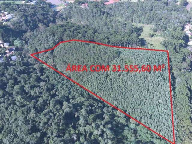 Área à venda, 0.00 m2 por R$250000.00  - Boichininga - Almirante Tamandare/PR