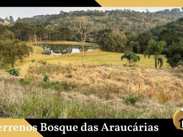 Terrenos Bosque das Araucárias