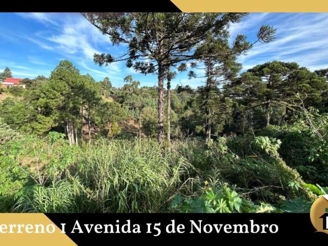 Terreno 1 Avenida 15 de Novembro Permuta