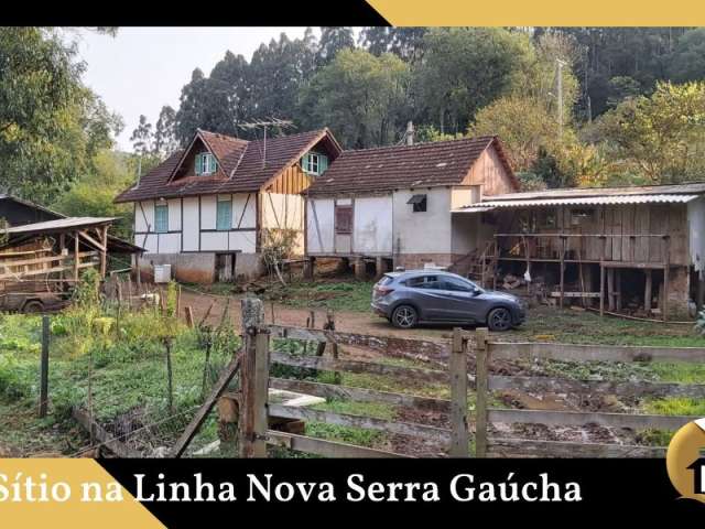 Sítio na Linha Nova Serra Gaúcha