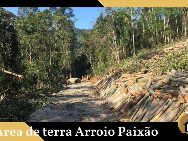 Área de terra Arroio Paixão