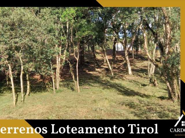 Terrenos Loteamento Tirol