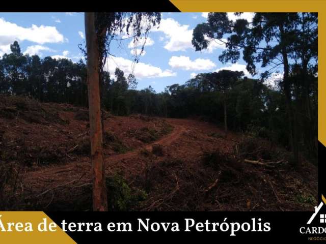 Área de terra em Nova Petrópolis