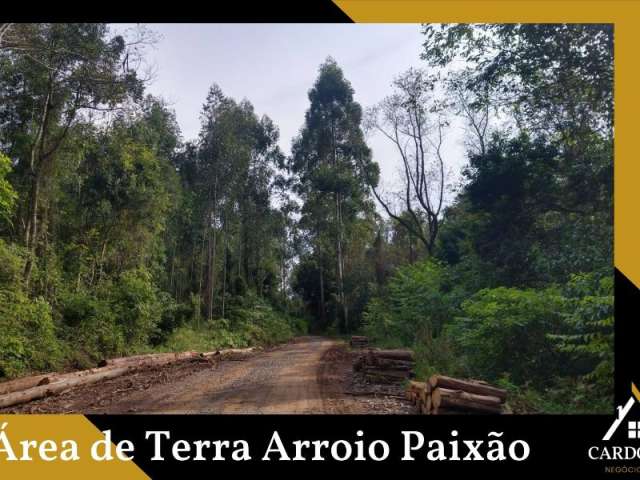 Área de Terras Arroio Paixão