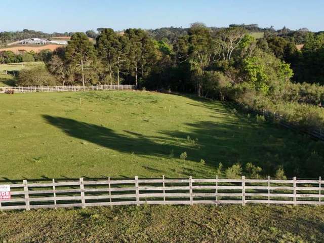 Terreno Urbano para Venda em Contenda, Localidade de Serrinha