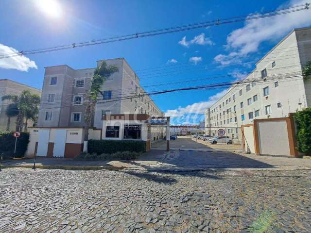 Apartamento para locação, Jardim Carvalho, PONTA GROSSA - PR