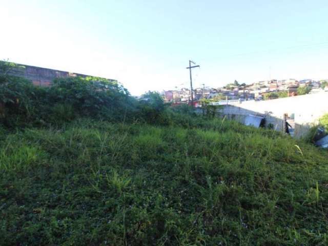 Terreno Residencial para locação, Jardim Maringá, Mauá - TE0078.