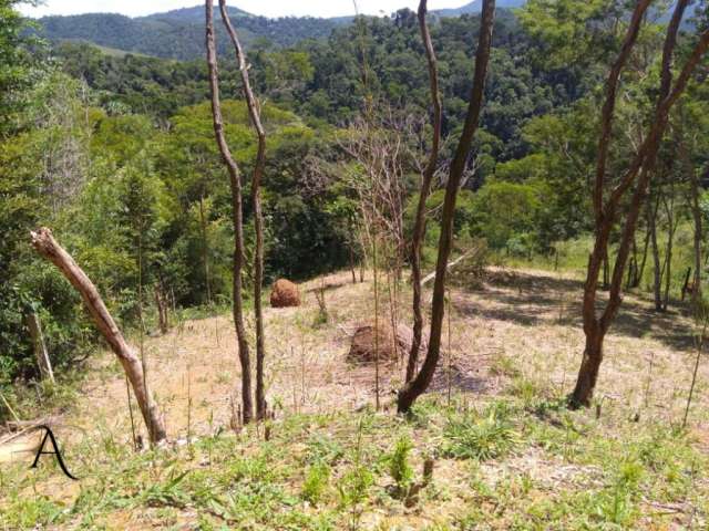 Terreno com uma belíssima vista para o verde de Ipiabas