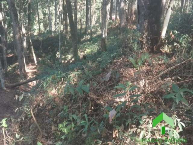 Vendo Terreno com 587 m2, plano no Vale Verde 1 em Ipiabas