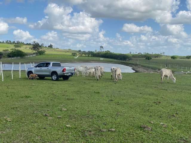 Fazenda com 10.3 hec em Situada a 01 km do Centro de Brejinho/RN