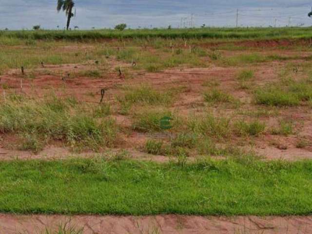 Terreno à venda, 250 m² por R$ 105.000 - Centro (Engenheiro Schmitt) - São José do Rio Preto/SP