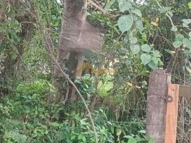 Terreno Negócio de Ocasião Caraguatatuba - SP - Pegorelli