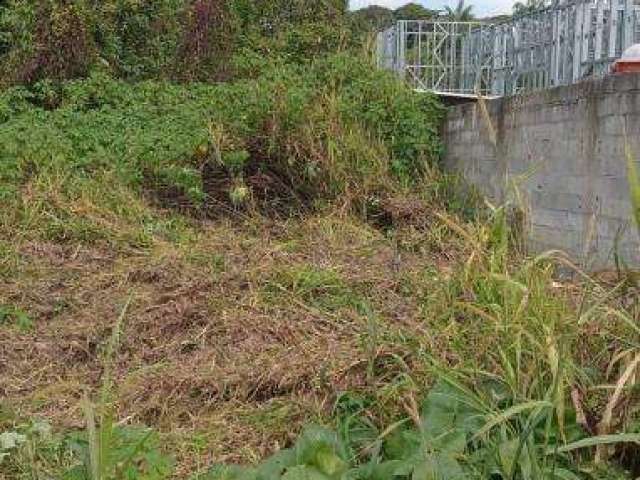 Terreno Escritura Definitiva Caraguatatuba - SP - Massaguaçu