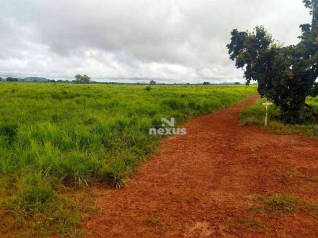 Fazenda à venda, 4007 m² por R$ 140.000.000,00 - Centro - Paracatu/MG