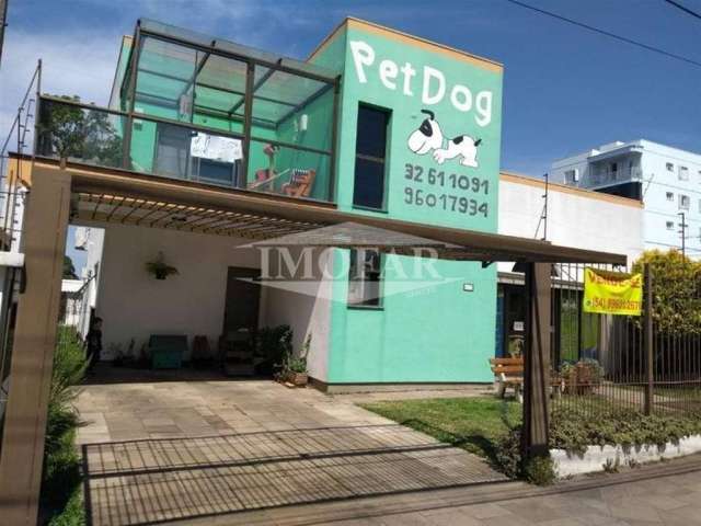 Sala comercial para clínica veterinária, com canis e pátio.  Banho e tosa com 02 banheiras fixas, canis com mesa de trabalho em cima, com aquecedor à gás, loja com expositores e balcão de recepção.   