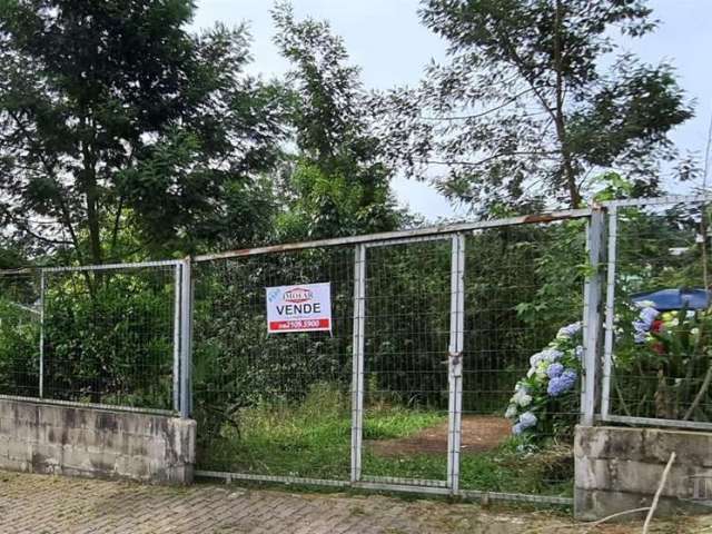 Terreno  medindo  13 metros de frente por 31 metros de profundidade. Todo cercado, com pomar e horta. Área: 13x31= 403,00m. Confira!