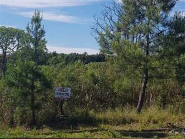 Excelente terreno no Loteamento Colline del Treviso.  Área: 12x30=360,00m.  Confira!