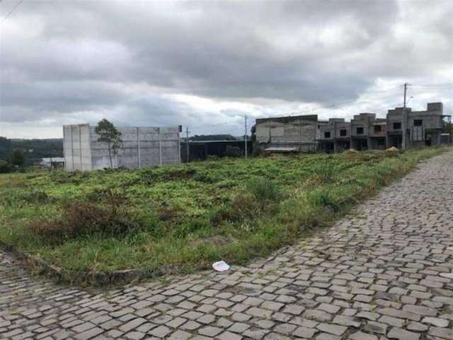 Ótima área composta por 08 lotes (sendo 02 esquinas).  Excelente oportunidade para condomínios ou empresas.  Área total: 2.996,00m.  Confira!