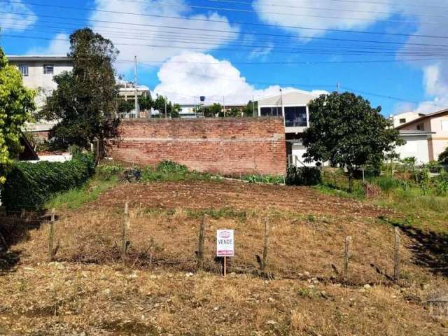 Ótimo terreno com 398,44 m(14,44 x 27,50), acima do nível da rua, frente oeste.