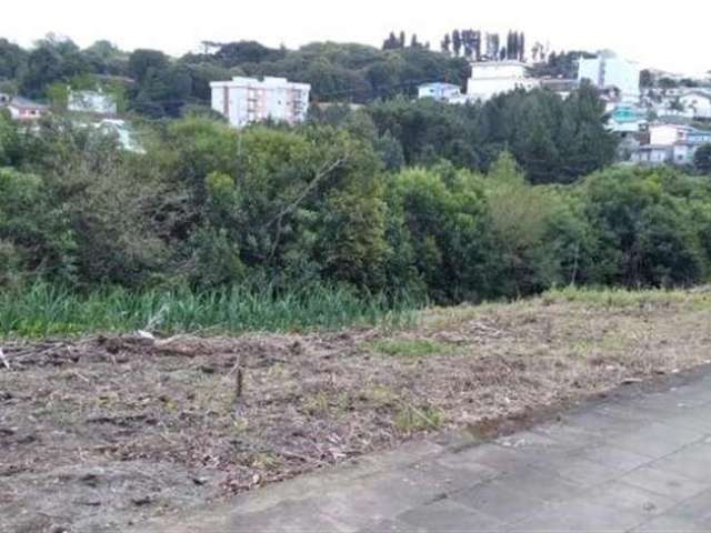 Terreno com excelente localização no Bairro Nova Vicenza com frente leste de 33,00m de extensão.  Área total: 792,00m.  Confira!