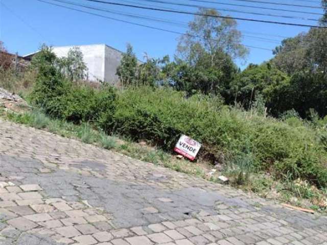 02 terrenos lado a lado no Bairro Santo Antônio!

Área de cada terreno: 437,50m².
Área total (02 terrenos juntos): 875,00m². 

Podem ser vendidos separadamente. 

Valor referente a cada terreno, consu