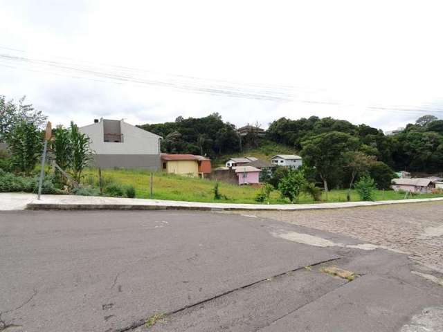 Ótimo terreno comercial no Bairro Desvio Rizzo!  Área: 28,78x95 = 2.698,43m.  Confira!