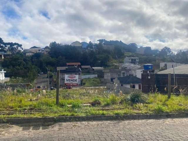 02 excelentes terrenos em São Caetano!! Localizados no loteamento em constante desenvolvimento.  Área de cada terreno: 12x30 = 360,00m.  **Terrenos juntos, mas podem ser vendidos separadamente. Consul