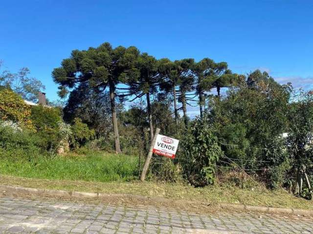 Excelente terreno no Bairro Presidente Vargas!! Ótima posição solar (frente norte)  Área: 12x39,92 = 483,98m.  Confira!!