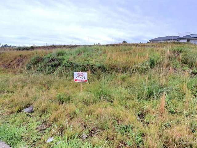 Terreno localizado no bairro São Francisco medindo 14 metros de frente por 29  metros de profundidade, frente norte. Rua pavimenta, arborizada, galerias para escoamento de esgoto e pluvial. Área priva