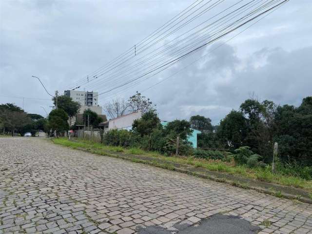 Excelente terreno a poucos metros da Lagoa do Desvio Rizzo!!  Excelente para construção de casas!  Área total: 421,00m.  Confira!!