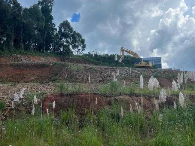 Excelente terreno no Loteamento Vale dos Pinhais no B. São Ciro!!  Área: 13,16x27,36 = 360,00m.  Confira!!