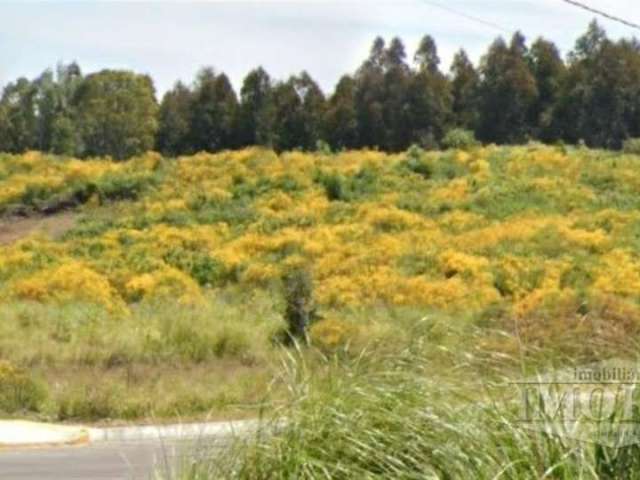 Dois excelentes terrenos juntos, futura esquina e meio de quadra, planos,  medindo 15 x 33 metros = 495 m cada, podendo ser vendidos separadamente. O valor deste anúncio é para o Lote n 8 (meio de qua