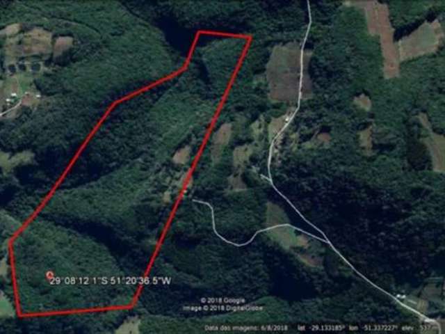 Chácara com 24,20 hectares, sem benfeitorias, com mata nativa, rio de médio porte, próprio para lazer ou compensação ambiental conforme novo Código Florestal - Lei 12.651/2012.

Área: 242.000,00m².

C