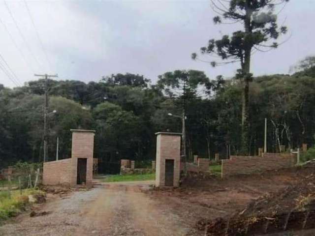 Chácara  de 2 hectares em condomínio fechado toda cercada, com energia elétrica na frente, água de poço artesiano coletivo, estrada exclusiva dos condôminos com iluminação, portão eletrônico com acess