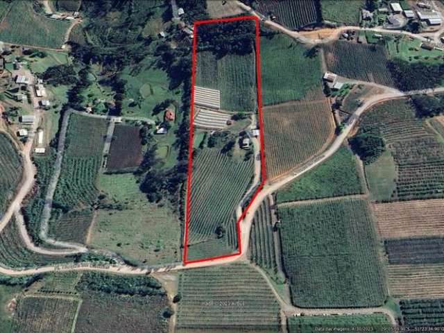 Área de terras com5.0  hectares, 02 casas, estufa, 2.000 pés de pessegueiros, parreiral, nascente de água, açude e área 80% cultivada.  

Aceita como parte do pagamento apartamento ou casa em Farroupi