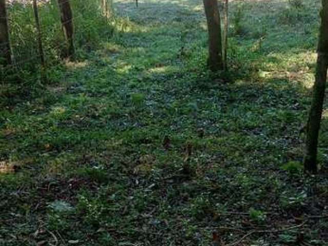 Área de terra com 2 hectares localizada ao lado do bairro Ipanema. Ocupação exclusiva para chácara.
Condições de venda: 50% de entrada e saldo parcelado. Estuda como parte do pagamento automóvel, imóv