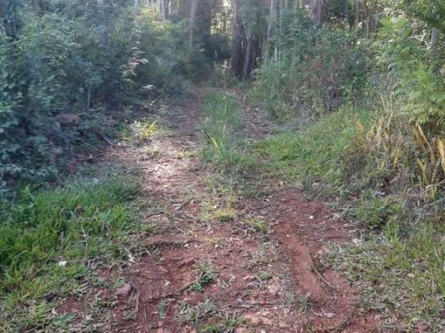 Essa propriedade rural (chácara) conta com uma casa de madeira de pinheiro com 3 quartos, sala e cozinha integradas, banheiro social e garagem para 2 carros. A casa também possui ar condicionado e os 