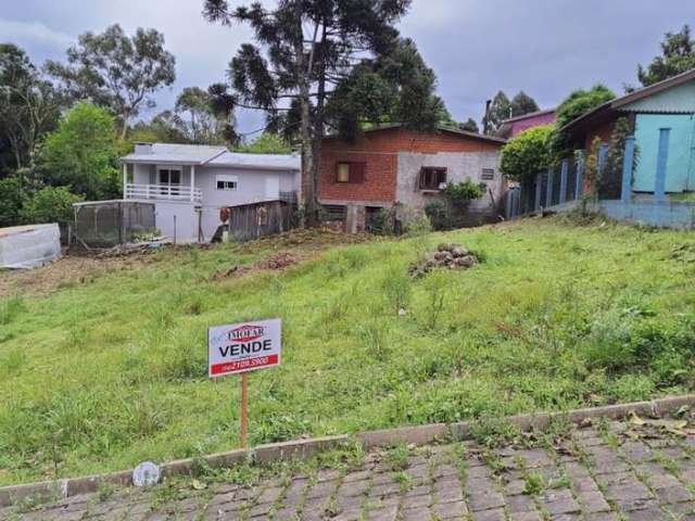 Terreno com 12 metros de frente por 30 de profundidade. Frente Leste.
Área total  360,00 m²