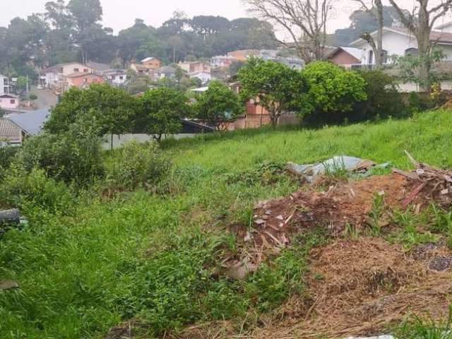 Ótimo terreno no Bairro Presidente Vargas!
Ideal para construção de moradias como sobrado e predial.

Área: 785,23m².

Confira!