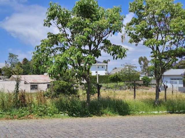 Excelente terreno, de esquina,  com 30 metros pela rua Independência por  19,50  metros. Com area  total de 585,00 m².
Orientação solar norte oeste.
Negociação em dinheiro, não aceita permuta.
Vídeo: 