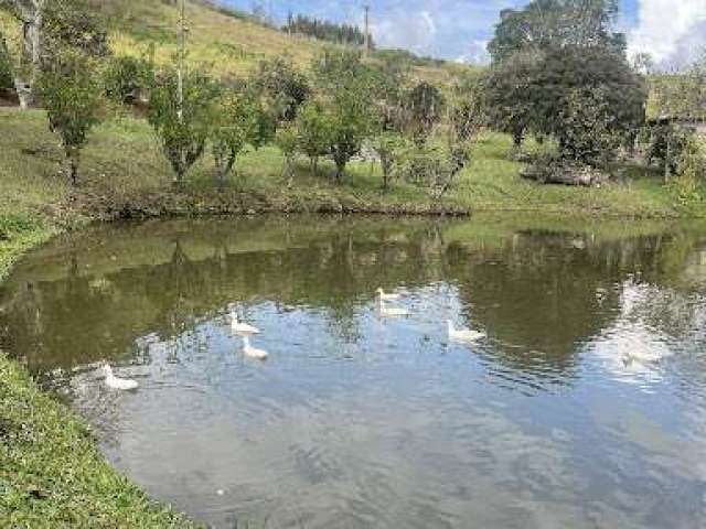 Sítio com 7 dormitórios à venda, 140000 m² por R$ 2.200.000,00 - ESTRADA GUARÁ X CUNHA - Cunha/SP