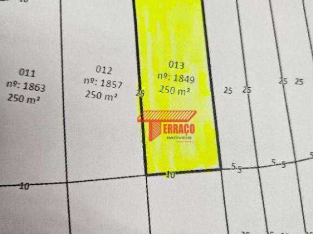 Terreno à venda, 250 m² por R$ 525.000,00 - Jardim do Estádio - Santo André/SP