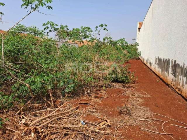 Terreno à venda no bairro Monte Alegre, Ribeirão Preto: oportunidade única!